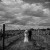 Jessica & Andrew’s Wedding at De Bortoli Wines | Rutherglen Wedding Photographers  | 00747.jpg