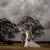 Zoe & Kat’s Wedding at Orange Grove Gardens | Culcairn Wedding Photographers | AS107280.jpg