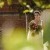 Amy & Morgan’s Wedding at Mt Ophir | Rutherglen Wedding Photographers  | 00504.jpg