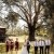 Sarah and Linden's Wedding at Oxley, Victoria | Wangaratta Wedding Photographers | 00619.jpg
