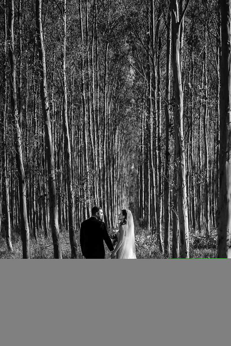Natalie & Steven’s Wedding at Brown Brothers Winery | Milawa Wedding Photographers  | _ASR7702.jpg