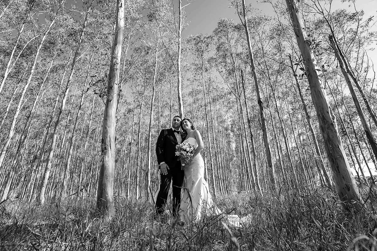Natalie & Steven’s Wedding at Brown Brothers Winery | Milawa Wedding Photographers  | _AS16108.jpg