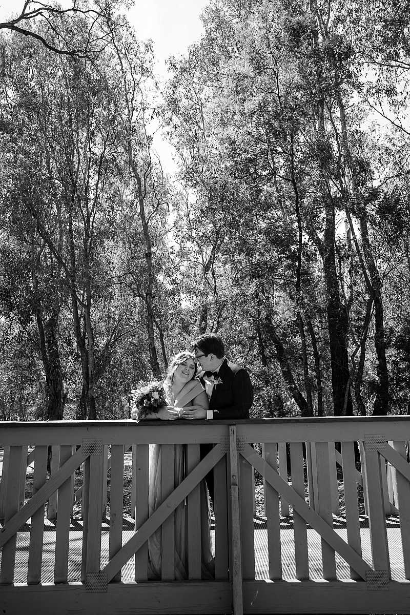 Laura and Marks wedding at Sumsion Gardens Wodonga | Wodonga Wedding Photographers  | 00889.jpg