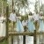 Jamay and Robert's wedding at Wahgunyah Victoria | Rutherglen Wedding Photographers  | 00569.jpg