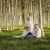 Maddeson and Daniel's Wedding at Brown Brothers Winery  | Milawa Wedding Photographers | _ASR4007.jpg