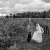 Stacey & Nathan’s Wedding at The Wild Vine Vineyard | Wagga Wagga Wedding Photographers  | 00694.jpg