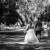 Laura and Marks wedding at Sumsion Gardens Wodonga | Wodonga Wedding Photographers  | 00872.jpg