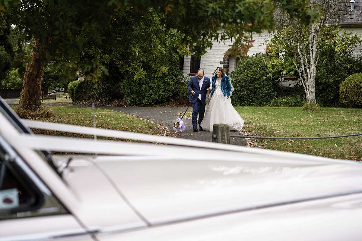 Becky and Daniel's Wedding at the Wattle Park Chalet Melbourne. | 00653.jpg