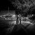 Maddeson and Daniel's Wedding at Brown Brothers Winery  | Milawa Wedding Photographers | 00812.jpg