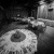REMEL 185 WHOROULY WEDDING VENUE | 00902.jpg