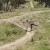 Elopement & Micro Wedding Photography | Albury Wodonga | 2026-03-13-Cw-0484.jpg